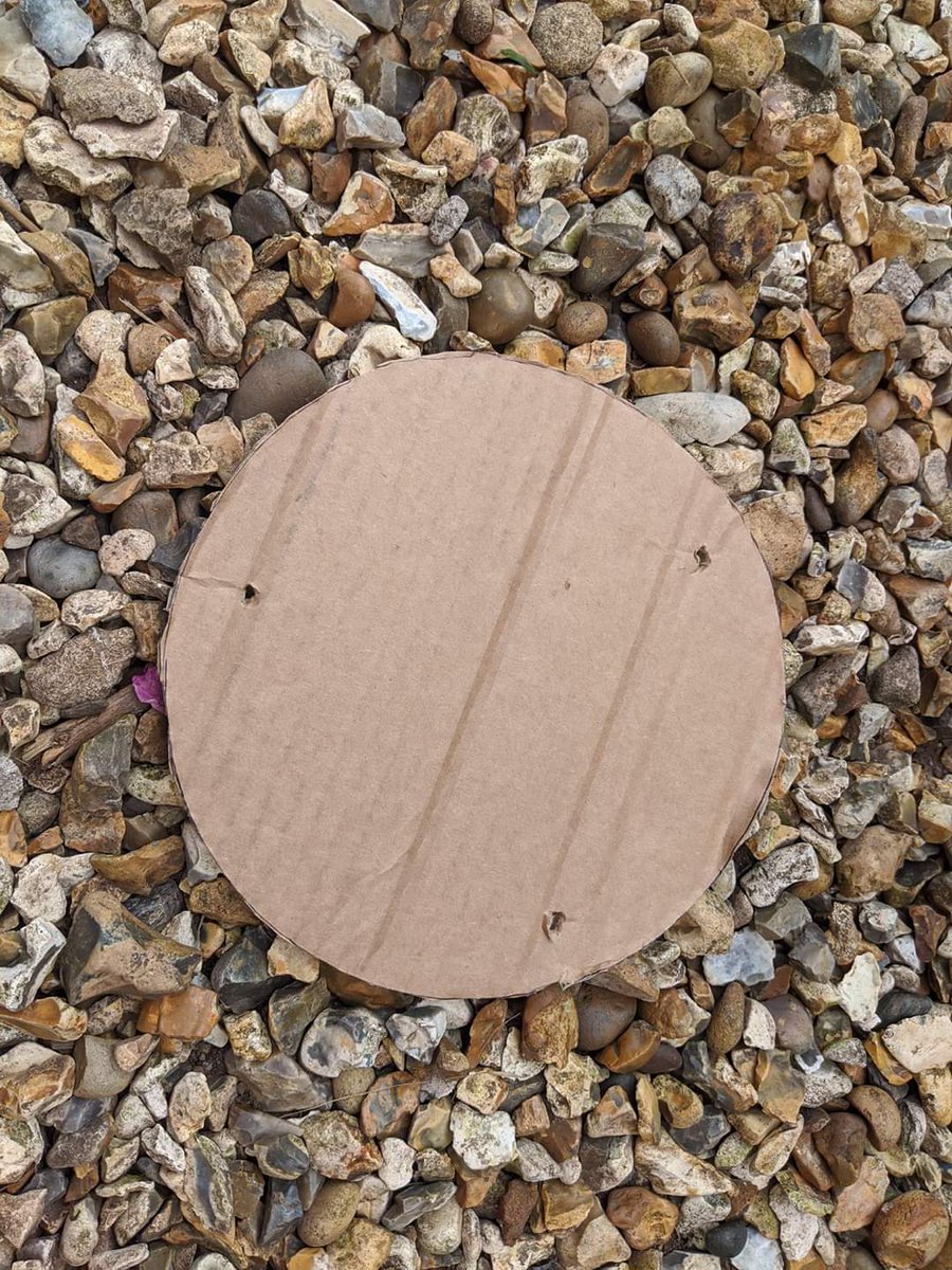 NaturePuriton's tweet photo. We're promised a sunny day today, so if you're fed up of banana bread, why not put your over-ripe bananas to good use and attract some butterflies to the garden? 
Mash it up, put it on some cardboard or a paper plate and string it up in the garden. 

Idea from RSPB @Natures_Voice https://t.co/epwV7IIuCq
