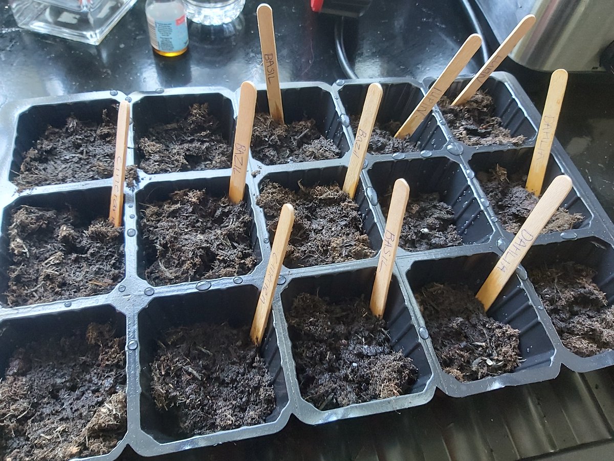 OABLJ's tweet photo. Amirah (Year 6) has been very busy learning Spanish, making papier-mâché globes, researching countries for her #Oddizzi project and planting basil, thyme and dahlias! https://t.co/W64SjlQcm3