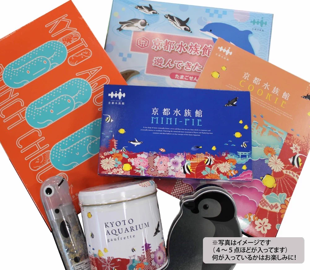 京都水族館 on X: 