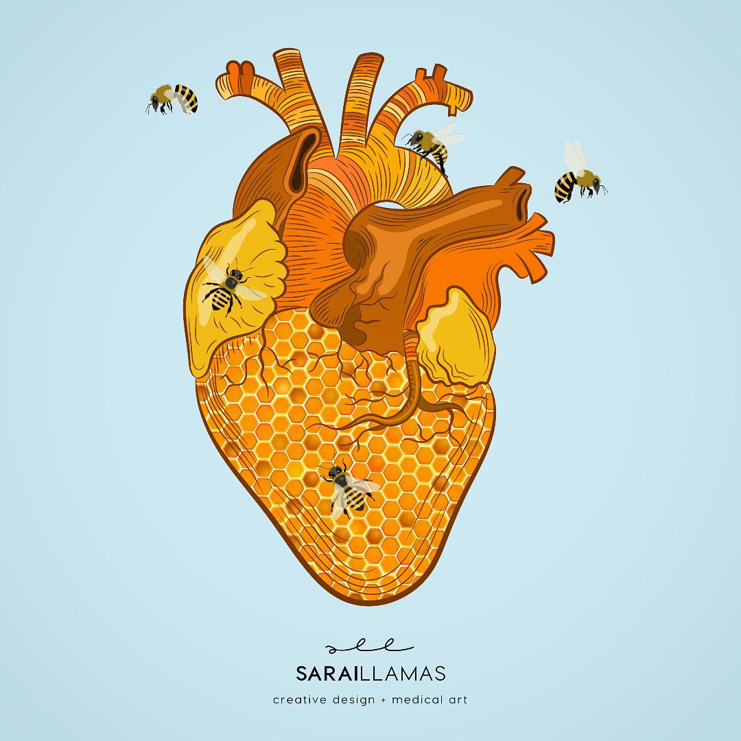 #WorldBeeDay

LET IT BEE

«The human soul, like the bee, extracts sweetness even from bitter herbs».

(Henryk Sienkiewicz)  

#DiaMundialdelasAbejas #bees #heART #MedArt #MedicalArt  #biology #sciart #scicomm #cardiology #beeday #giornatamondialedelleapi #abejas #cardiologia