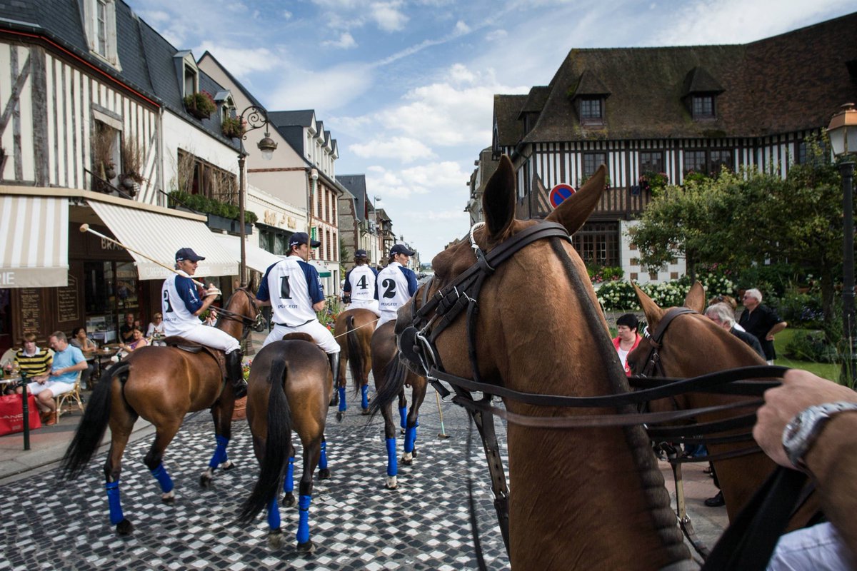Equestrio tweet media