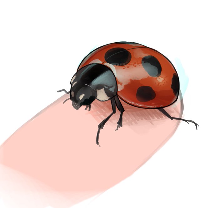 最近毎日30分ぐらいかけてカラーデッサンしてるんやけど、このテントウムシの謎クオリティだけ見てくれ! 