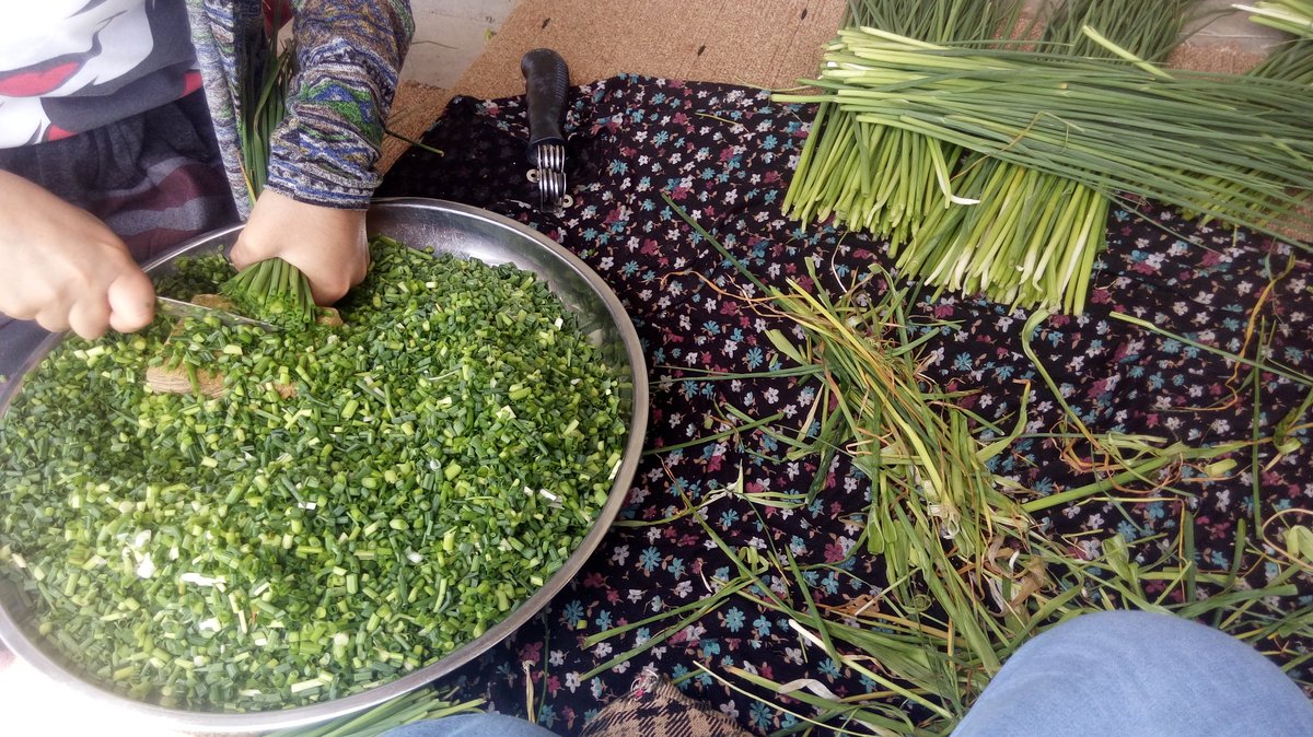 Otlu peynir hazırlıkları başlasın