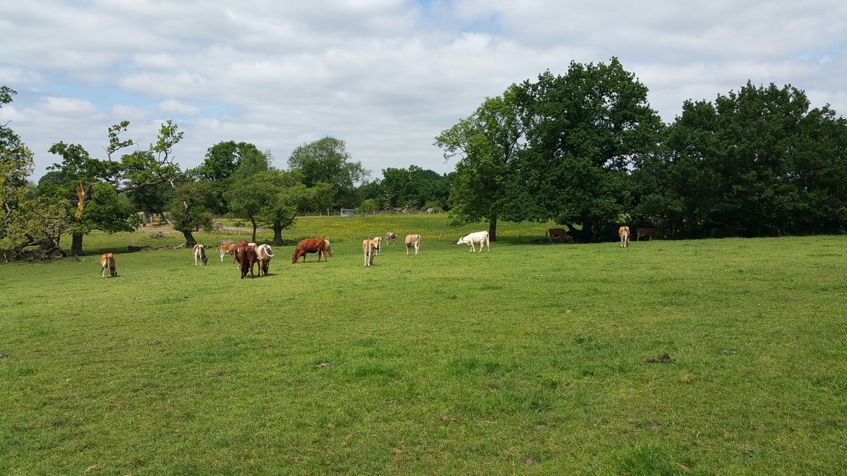 "Hopewall is here to take the pressure off you shopping" - Dairy farm supplying those who need it most 🐄

<a href="/hopewall_farm/">Hopewall Farm Foods</a> owner Andrew Webb has done a wonderful job keeping up the deliveries of farm essentials. Read about their latest venture 🍦

the-shared-space.com/2020/05/20/hop…