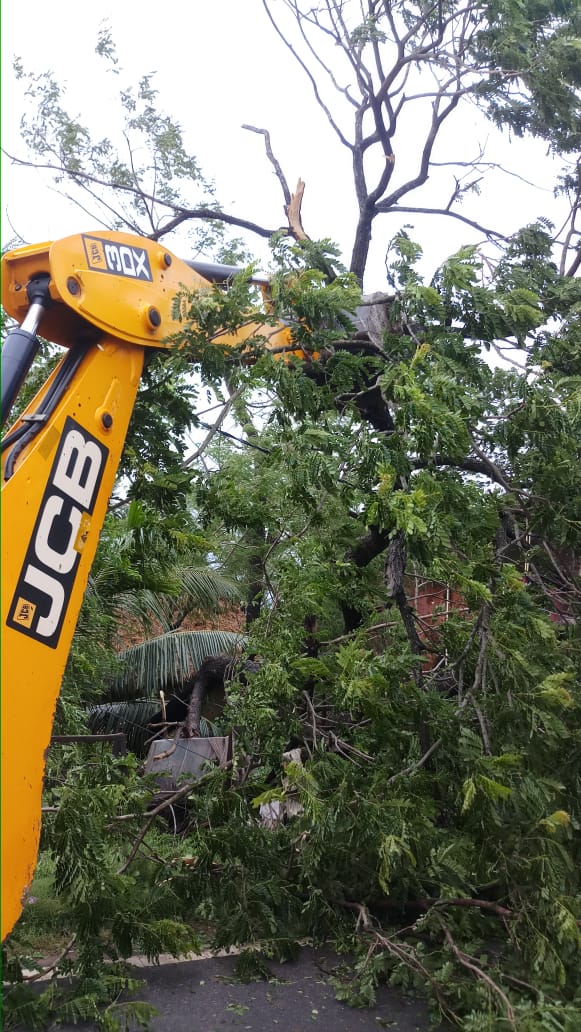 PWD_Odisha's tweet photo. As an immediate response to the Cyclone #AMPHAN, road clearing operation is in full swing in the districts of Puri, Kendrapada, Khurdha, Jajpur, Jagatsinghpur, Bslasore &amp; Bhadrak. https://t.co/nnur0mVNJK