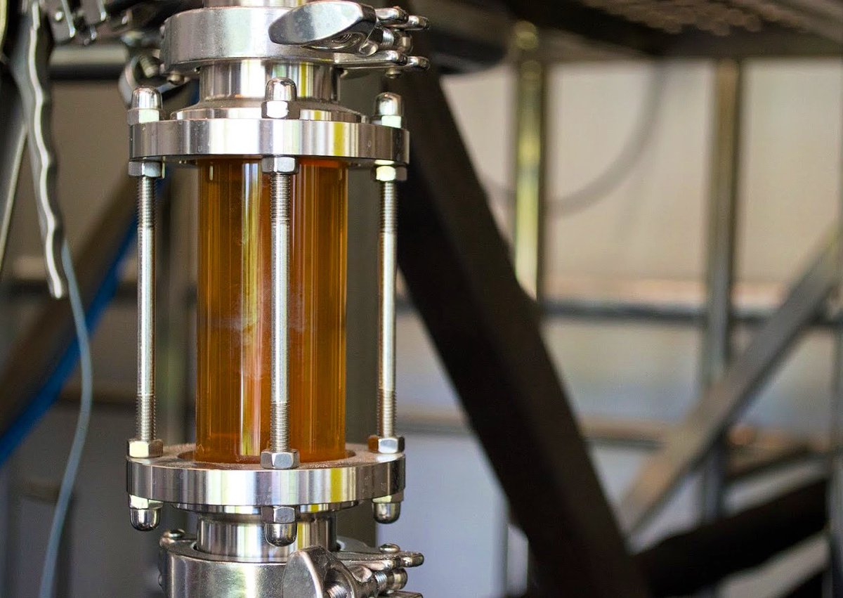 PIGBEERCO's tweet photo. First brew of Spring 2020 means only one thing- more great beer coming up🍺
.
.
.
#bignews #craftbeersofuk #hampshirebeer #brockenhurst #craftbrewery #beeringredients #PIGBeerLife #newforestbrewery https://t.co/Kzu35P3qAj