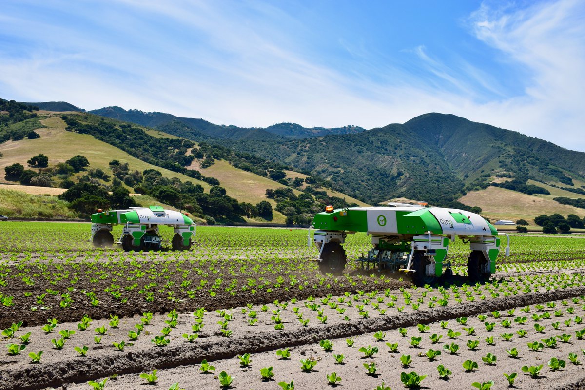 2 Dinos working together: it's now happening ! 🤩  #mechanicalweeding #agtech #precision #robotics #agriculture with @ChurchBrotherFarm