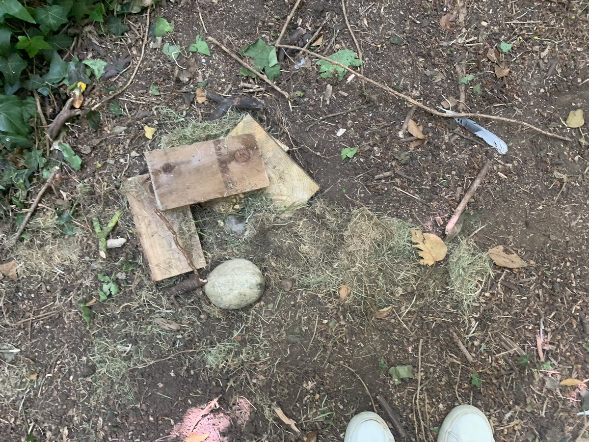 stevensonemma4's tweet photo. Amélie’s bug hotel @OWPSflamingoes @OWPSchool https://t.co/fYYs9TeEQe