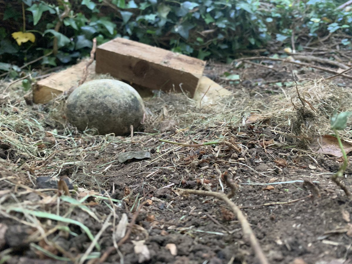 stevensonemma4's tweet photo. Amélie’s bug hotel @OWPSflamingoes @OWPSchool https://t.co/fYYs9TeEQe