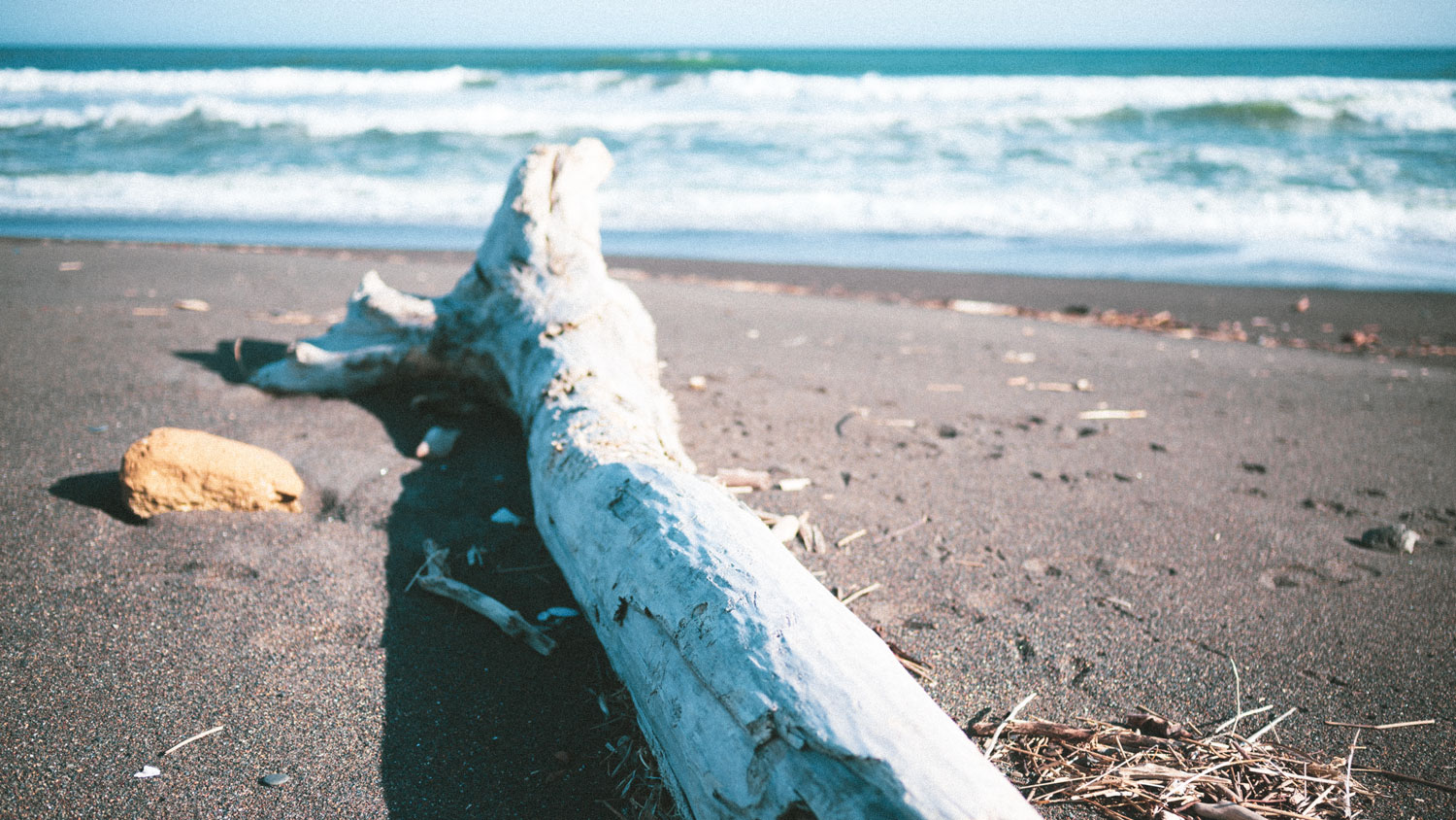 吉岡太郎 Moving Inn Orange And Partners 十勝に来て最初に出会った絶景 浜大樹 当縁川 とうべりがわ の河口部分であり 海と川に挟まれた砂浜にたくさんの流木が流れ着いてます アクアリウム好きは流木拾いだけでも楽しいかも 崖にはトーチカが