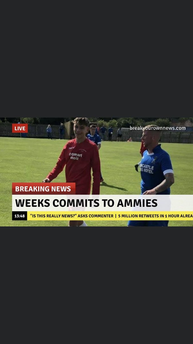 Coldstream Ammies tweet media