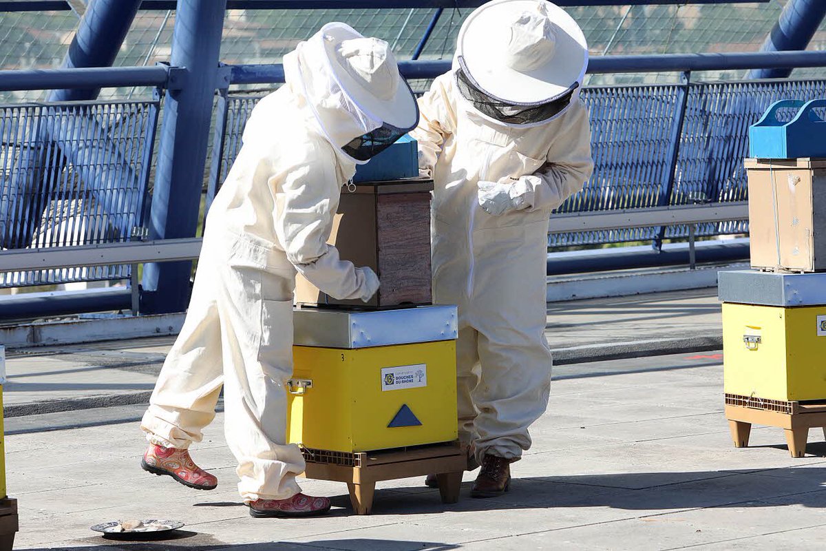 covidarebours's tweet photo. RT @ARPE_ARB: RT @departement13: 🍯 Ils sont une dizaine d'agents du #département, formés par l’association l’Abeille Provençale, à s'occuper du #rucher. Une gestion qui nécessite des visites tous les 15 jours, y compris pendant le #confinement !
Les … https://t.co/h0H6YlSfu8