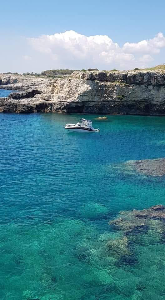 ilcentroinbarca's tweet photo. Ti piacerebbe essere il barca ?🎯#Leucaduemari #ilcentroescursioni #solsalentoleuca #weareinleuca #baiadellesirene #santamariadileuca https://t.co/VyO8uuIvI3