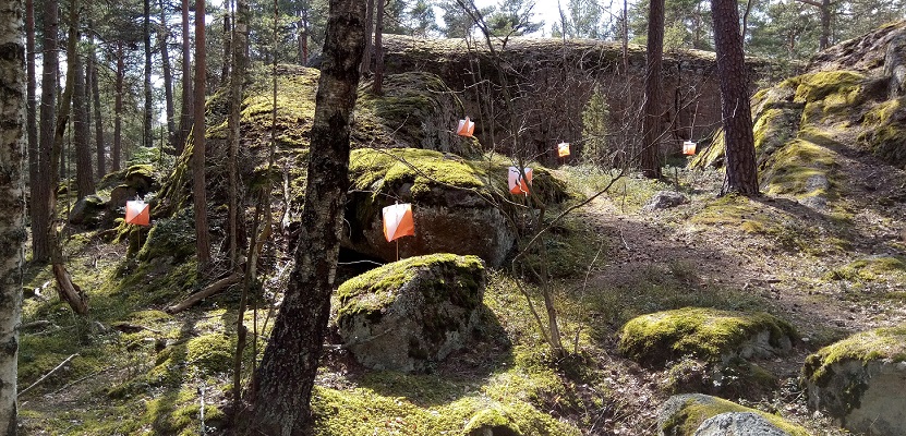 T.O.R.U.S. Cup started. 336 international competitors visited Turku/Finland. Real top level event as 25 out of 36 WTOC 2019 TempO finalists was there. yq.cz/trail-o/TempO/…