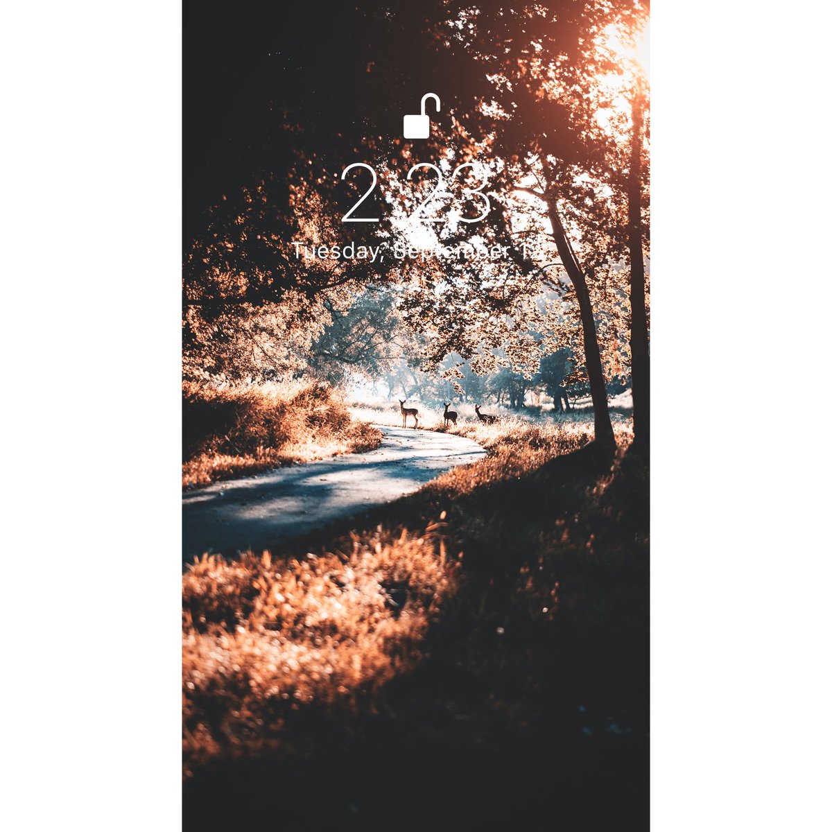 Aesthetic Vibes Wallpaper Iphone Aesthetic Nature