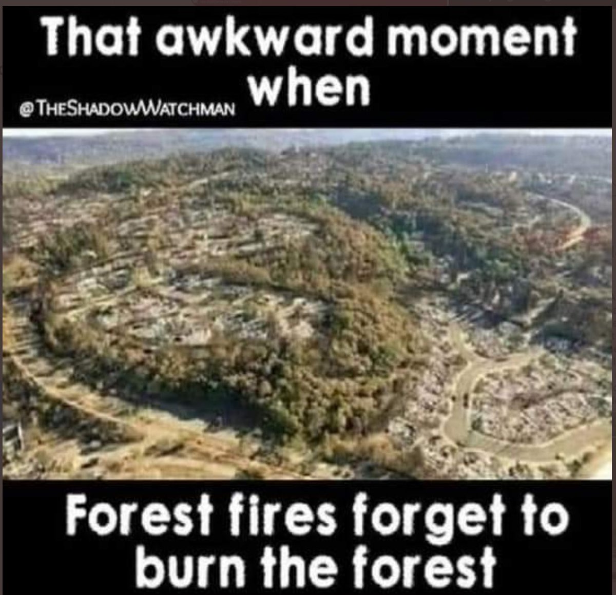 agvBruceAdams's tweet image. They are already talking about more fires this year in N. CA.. I guess they are not done burning a path for the planned high speed rail. Direct Energy Weapon equipped planes do the job.