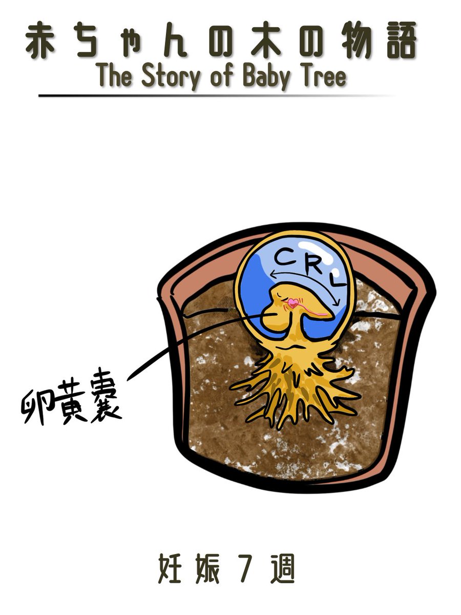 胎嚢 Twitter Search 胎嚢 Twitter Search