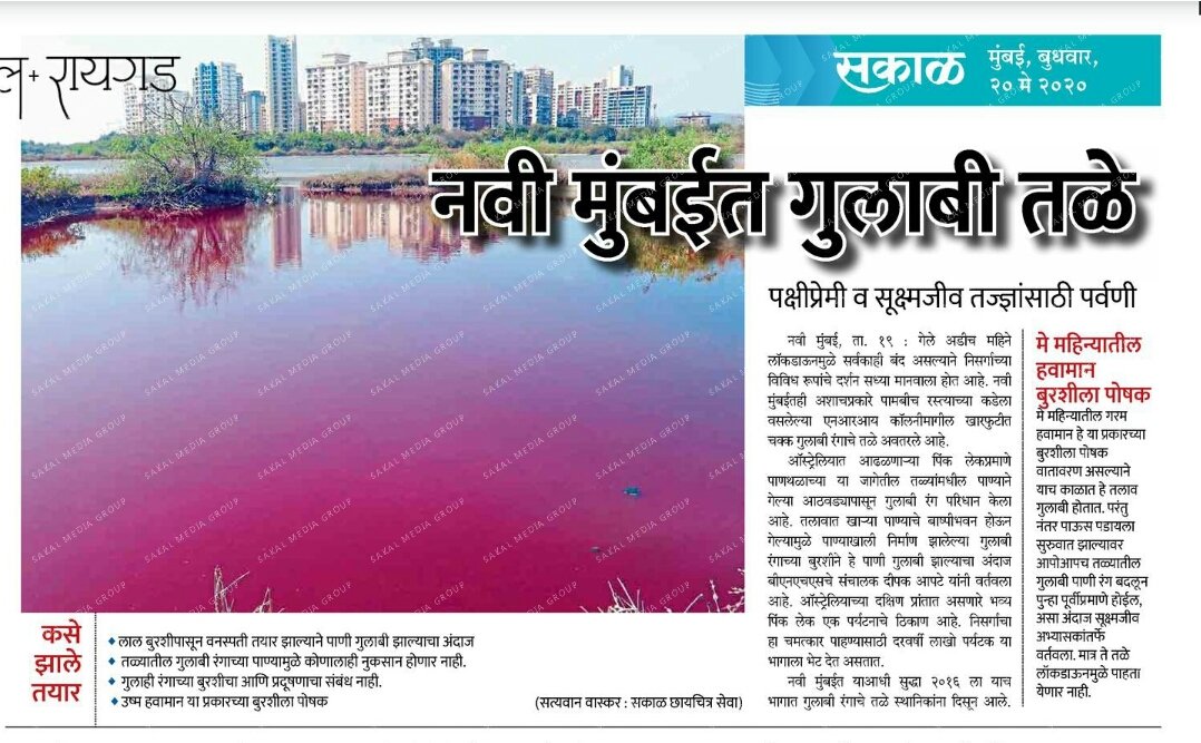 SakalCirculationMumbai (@mumbaisakal) on Twitter photo рдард│рдХ рдмрд╛рддрдореНрдпрд╛
тЧЖ рд╢рдВрднрд░ рдХреЛрд░реЛрдирд╛рдЧреНрд░рд╕реНрдд рдмреЗрдкрддреНрддрд╛.
тЧЖ рд░реБрдЧреНрдг рдмрд░реЗ рд╣реЛрдгреНрдпрд╛рдЪрд╛ рдЙрдЪреНрдЪрд╛рдВрдХ рдПрдХрд╛ рджрд┐рд╡рд╕рд╛рдд резреирежреи рдХреЛрд░реЛрдирд╛рдмрд╛рдзрд┐рдд рдШрд░реА
тЧЖ рдирд╡реА рдореБрдВрдмрдИрдд рдЧреБрд▓рд╛рдмреА рддрд│реЗ
рд╕рдХрд╛рд│ рдЪреНрдпрд╛ рдпрд╛ рдЖрдгрд┐ рдЗрддрд░ рдмрд╛рддрдореНрдпрд╛ рд╡рд╛рдЪрдгреНрдпрд╛рд╕рд╛рдареА рдЦрд▓реАрд▓ рд▓рд┐рдВрдХ рд╡рд░ рдХреНрд▓реАрдХ рдХрд░рд╛.
epaper.esakal.com/FlashClient/ClтАж рдард│рдХ рдмрд╛рддрдореНрдпрд╛
тЧЖ рд╢рдВрднрд░ рдХреЛрд░реЛрдирд╛рдЧреНрд░рд╕реНрдд рдмреЗрдкрддреНрддрд╛.
тЧЖ рд░реБрдЧреНрдг рдмрд░реЗ рд╣реЛрдгреНрдпрд╛рдЪрд╛ рдЙрдЪреНрдЪрд╛рдВрдХ рдПрдХрд╛ рджрд┐рд╡рд╕рд╛рдд резреирежреи рдХреЛрд░реЛрдирд╛рдмрд╛рдзрд┐рдд рдШрд░реА
тЧЖ рдирд╡реА рдореБрдВрдмрдИрдд рдЧреБрд▓рд╛рдмреА рддрд│реЗ
рд╕рдХрд╛рд│ рдЪреНрдпрд╛ рдпрд╛ рдЖрдгрд┐ рдЗрддрд░ рдмрд╛рддрдореНрдпрд╛ рд╡рд╛рдЪрдгреНрдпрд╛рд╕рд╛рдареА рдЦрд▓реАрд▓ рд▓рд┐рдВрдХ рд╡рд░ рдХреНрд▓реАрдХ рдХрд░рд╛.
epaper.esakal.com/FlashClient/ClтАж