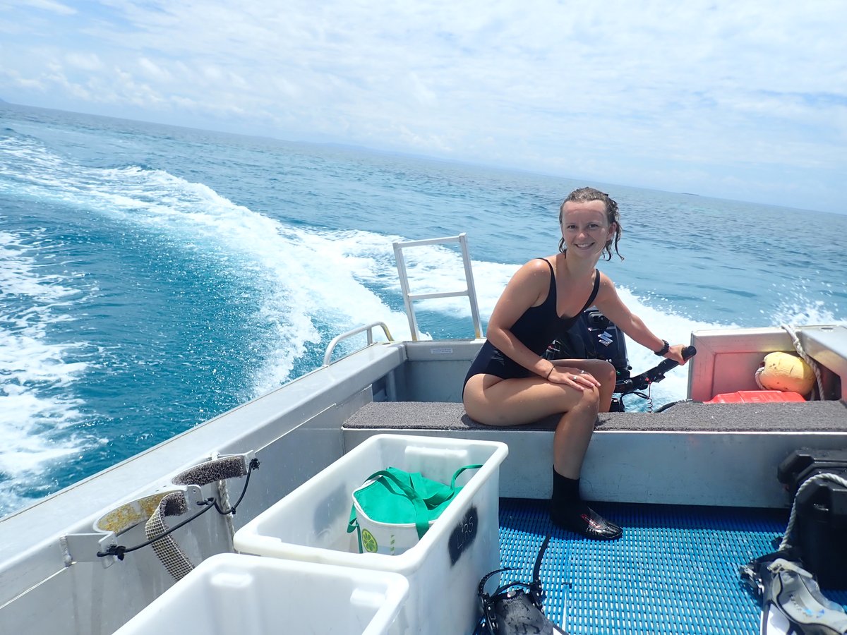 Dwarf_Mongoose's tweet photo. #CelebrateECRs 👏👍 @WeschkeE 
Studies impacts of anthropogenic noise on nocturnal coral reef fish. 🐠 A force of nature in the field, true waterbaby, passionate advocate of the natural world, super organised &amp; efficient, calming presence. #PhD #Cornwall
https://t.co/zYDvJRo2g7 https://t.co/NuwgPhaU9k