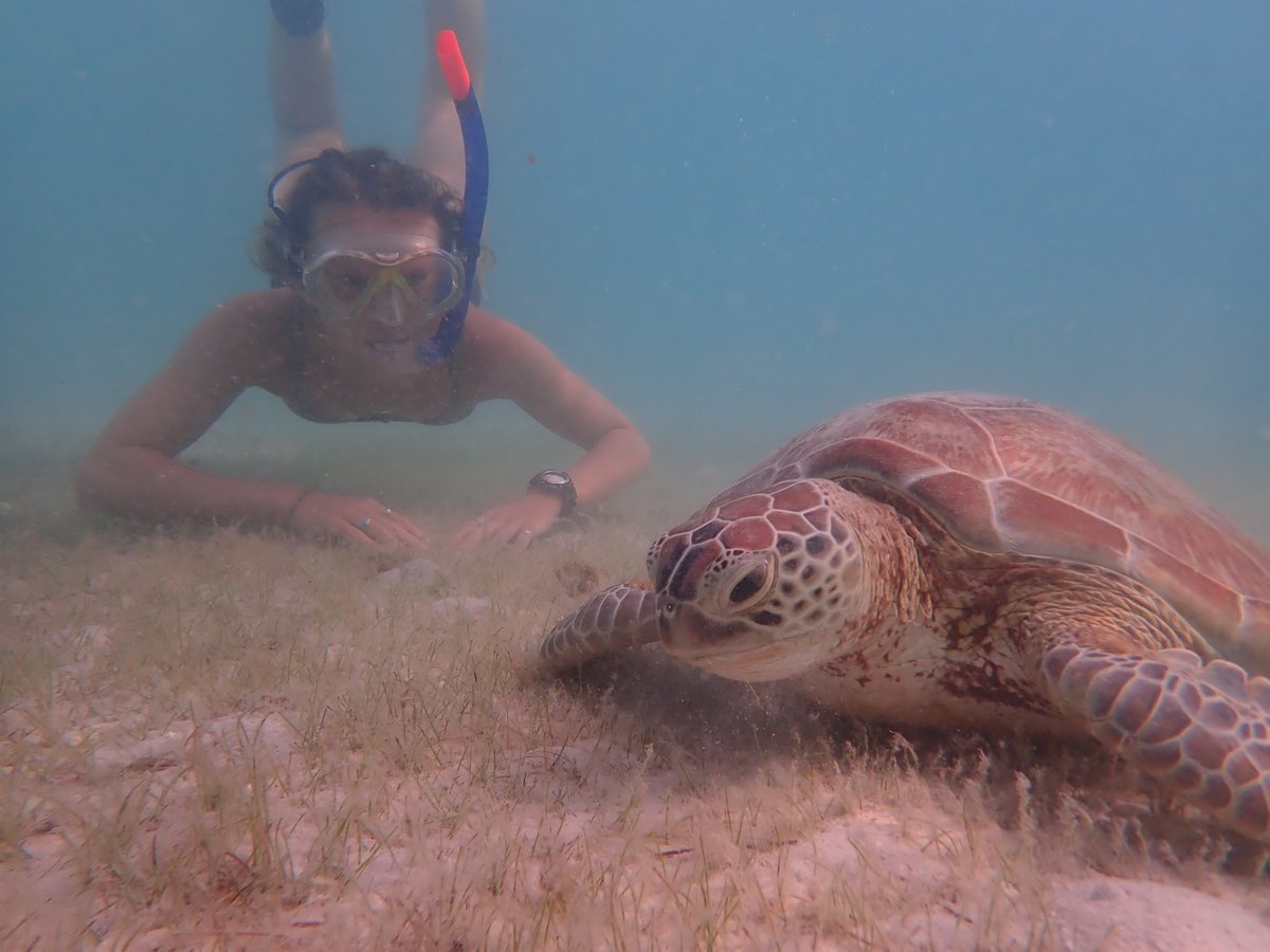 #CelebrateECRs 👏👍 @WeschkeE 
Studies impacts of anthropogenic noise on nocturnal coral reef fish. 🐠 A force of nature in the field, true waterbaby, passionate advocate of the natural world, super organised &amp; efficient, calming presence. #PhD #Cornwall
researchgate.net/profile/Emma_W…