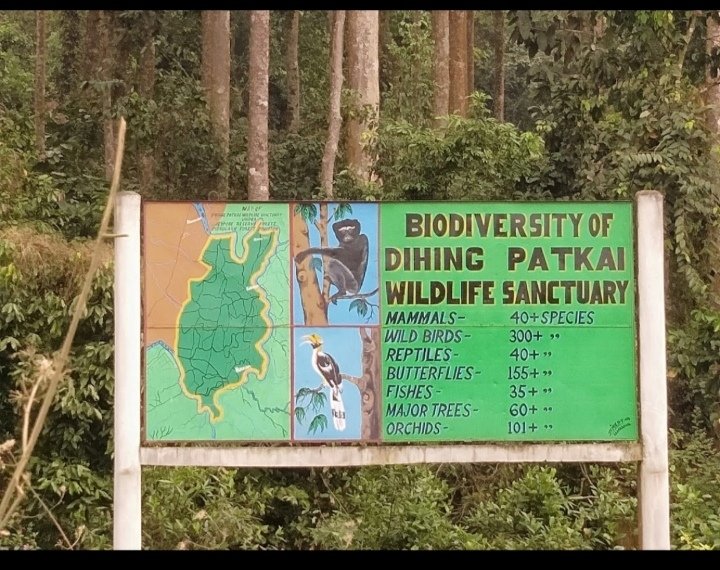 ChShachin's tweet photo. Largest Rainforest Of India"Amazon of The East"Dehing Patkai Rainforest(Assam).The Government are decided to"Coal Mining"at Dihing Patkai.Its dangerours To Nature and Animals.@ImRo45 @akshaykumar @republic @ZeeNews 
#I_AM_DEHING_PATKAI 
#StopCoalMiningProject
#savedehingpatkai https://t.co/LNC1tspQ3Z