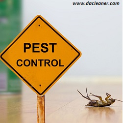 Dacleaners's tweet photo. At Dacleaner, our experienced technicians can provide customized services to rid your home or business of unwanted insects, spiders, ants, rodents, and more!
To schedule your free estimate, contact us today by calling 07064258240 or 09038652894. #pescontrol #fumigation #dacleaner https://t.co/ebedYN4GeI