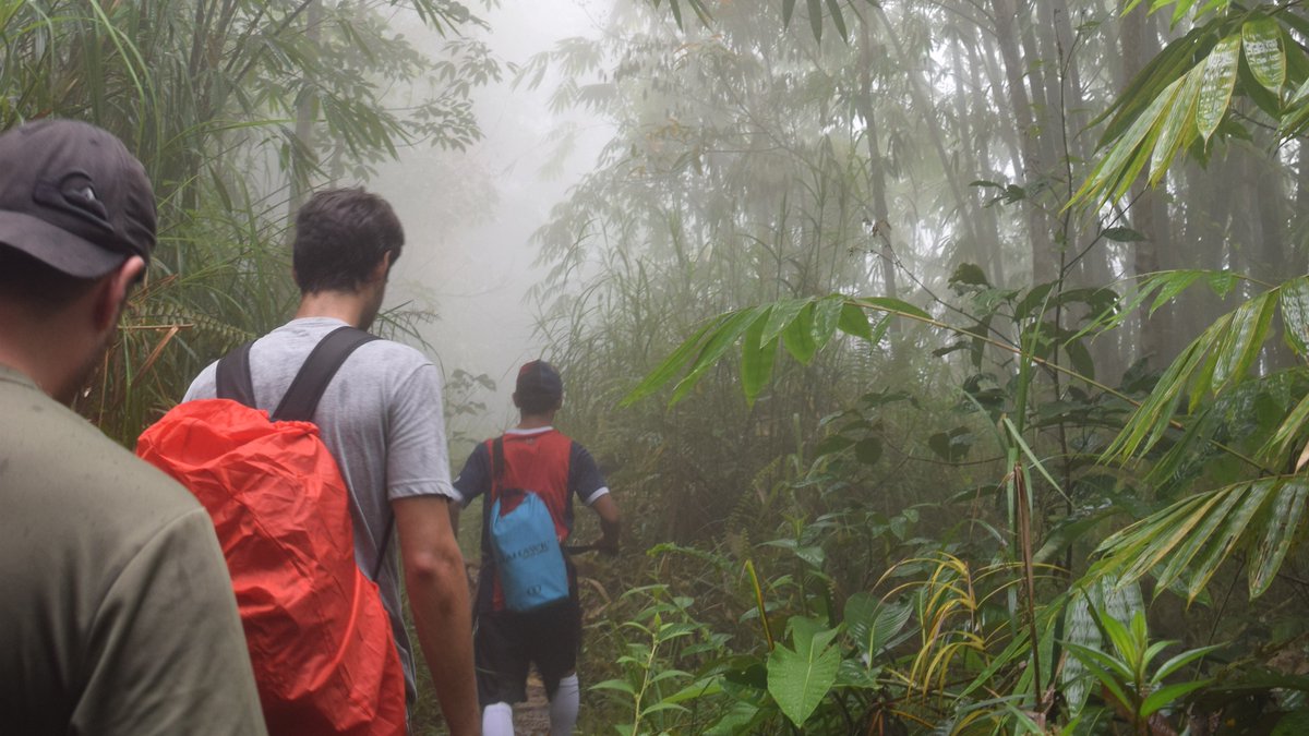 BackyardTourMY's tweet photo. Jungle trek right after heavy rain, surrounded by cool mist in Borneo. Usually, if it is sunny day weather can be hot and humid; can be exhausting. This one is a blessing. #trekking #borneo https://t.co/lshIcgGFzd