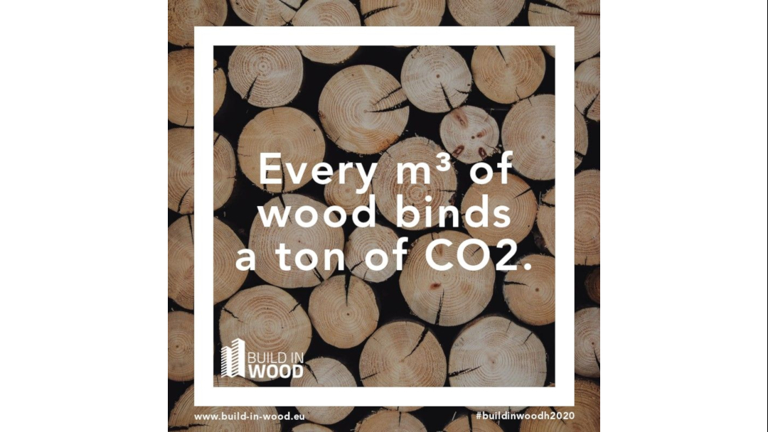 Build_in_Wood's tweet photo. The more we build in wood, the more CO2 is captured. 
#bulidinwoodh2020 #woodfacts #sustainability #buildwithwood https://t.co/F7A0TChnwv