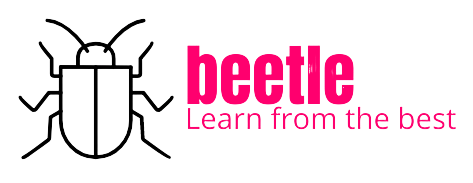 Des stages avec des indépendants, la bonne idée de Beetle ! stagesurbeetle.fr  <a href="/stagesurbeetle/">beetle</a>
