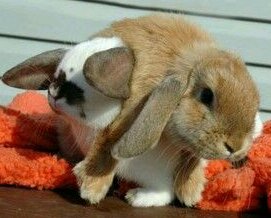 Good morning twitter 😊