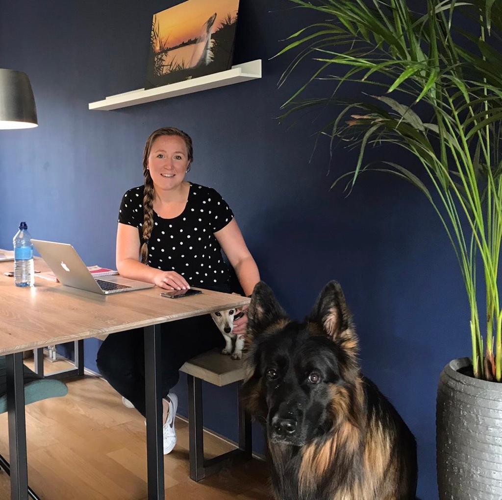 Hoe werken onze collega's vanuit huis? Lees hier het verhaal van onze accountmanager Charlotte.
ingoedebanen.nl/blog/hoe-werke…