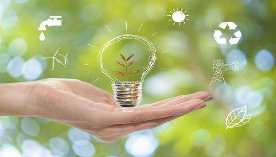 JE Cortade de la Saussay tweet media