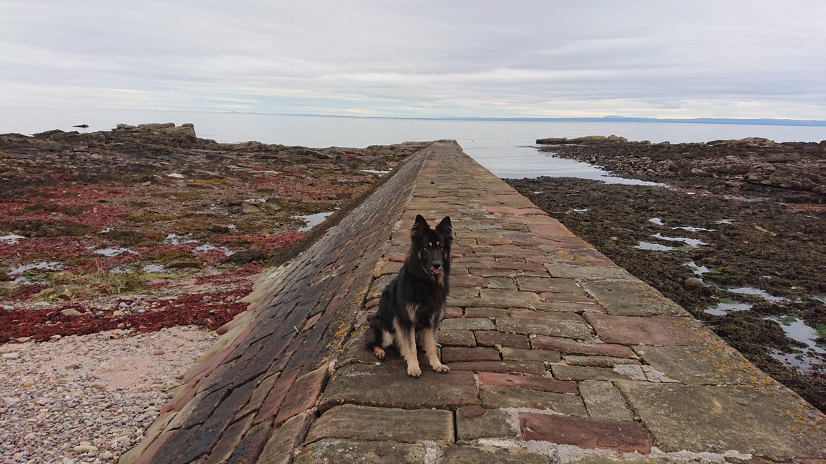 Margare38029552's tweet photo. Day three of climb Spencer really enjoying his walks #teamkey #keyhighland everyone doing fantastic joining in with #ClimbEverymountain https://t.co/OgVOMHCVge