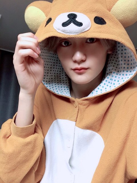 lilacrocky's tweet photo. BYEEEE hes so cute im gnna cry https://t.co/FPHH9UV1Ye