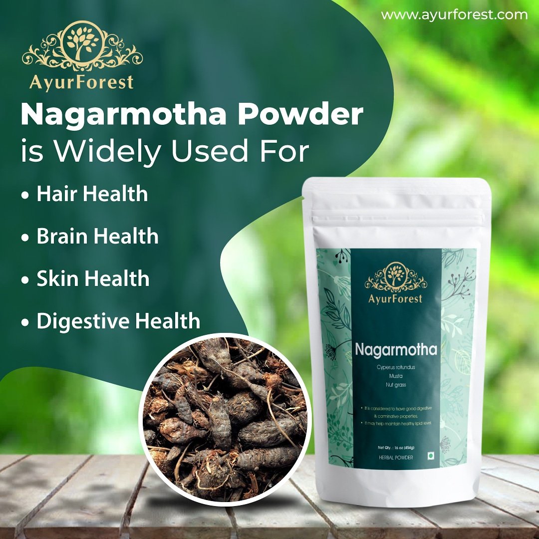 Ayur_Forest's tweet photo. #Nagarmotha Powder is one of the best ama-pachaka which means corrective and remover of endo-toxins that enhances overall #health. 

ShopNow: https://t.co/SqEXQphYCV

#AyurForest #CyperusRotundus #Hair #skin #HairGrowth #Digestion #Ayurvedic #natural #Herbal #Remedies #Ayurveda https://t.co/bjxx9Cr4xc