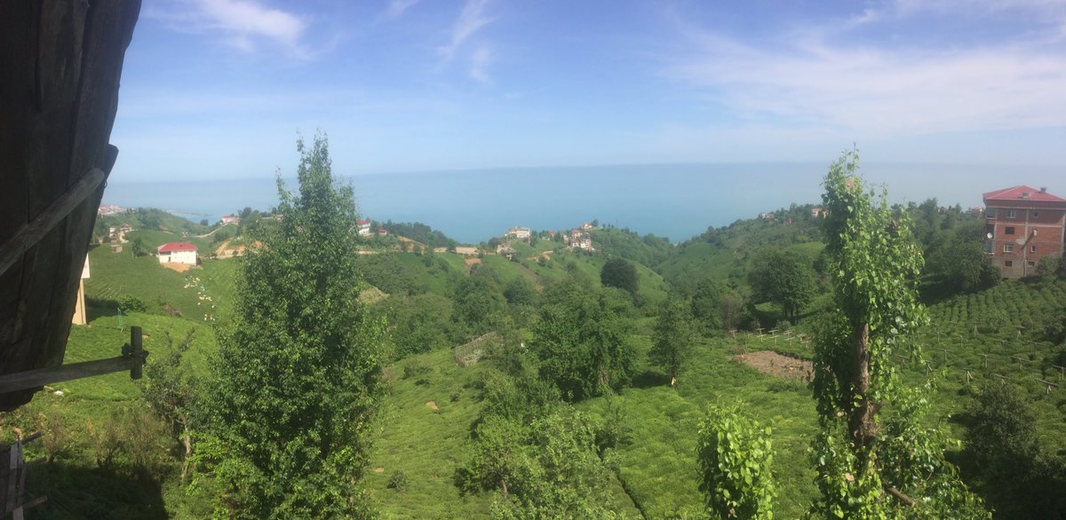 orsoglu_rabia's tweet photo. Böyle bir yerde uyanmayacaksan neden günaysın ki?
#karadeniz #ardeşen #rize #doğa #natural https://t.co/uOSUVRND5o