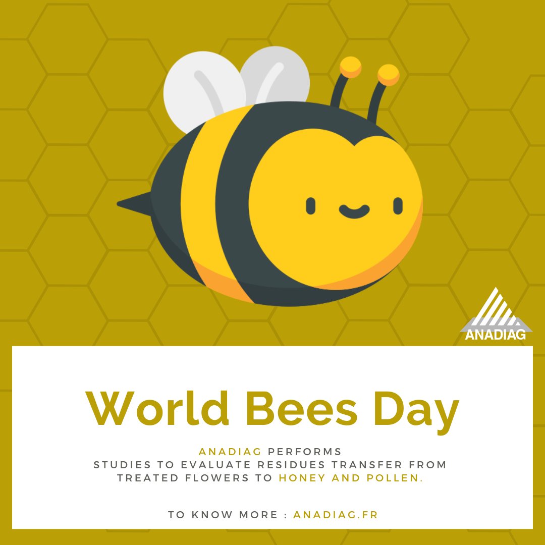 AnadiagG's tweet photo. [World Bees Day]

Bees are the major player for the functioning of our ecosystems and food production. This day is dedicated to them.

Happy #worldbeesday2020 ! https://t.co/CxHfzARZWd