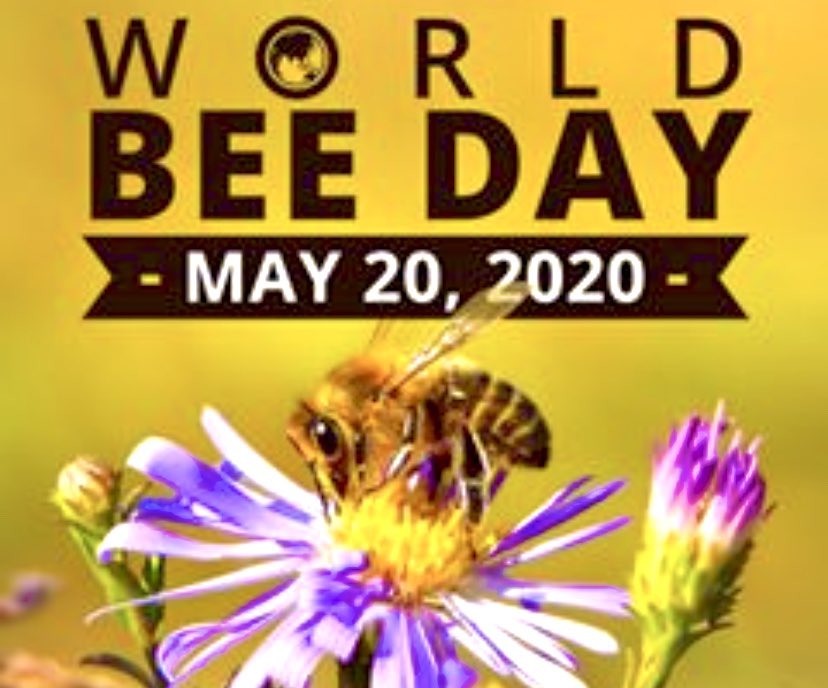elangeorgemusic's tweet photo. Keep the world sweet....
Don’t be a hater, celebrate &amp; save the pollinator #WorldBeeDay #bees 🐝🙌🏻
Have a great day y’all #EGMusic 🤗🌺

Bees, Essential to man kinds survival https://t.co/KNsVFfdCww