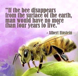 elangeorgemusic's tweet photo. Keep the world sweet....
Don’t be a hater, celebrate &amp; save the pollinator #WorldBeeDay #bees 🐝🙌🏻
Have a great day y’all #EGMusic 🤗🌺

Bees, Essential to man kinds survival https://t.co/KNsVFfdCww