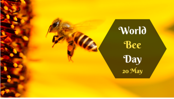 up2universe's tweet photo. 🐝It's #WorldBeeDay! #students and #teachers take some time to appreciate🙏 the importance of 🐝🍯 in our planet🌐, with a 🎞️ from #Up2University #eduOER 🎬database:
▶️Every city🏙️ needs healthy honey #bees🐝🍯| Noah Wilson-Rich #K12 #TED
https://t.co/AgzuTuEPSV

#savethebees https://t.co/9xO0LeZe3v