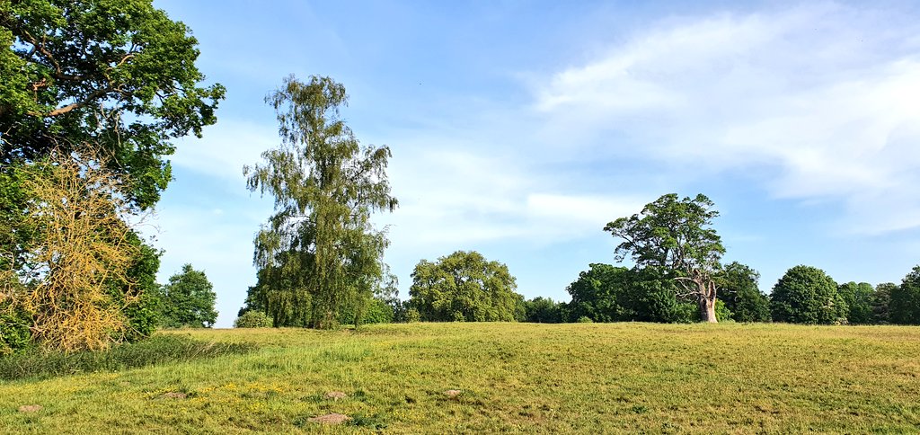 NandNSciAssoc's tweet photo. There's more around us than we might usually spot.
We'll be doing a #lockdownlookout for the #bankholiday and half term to keep people spotting amazing things whilst out on their #walks 👀 https://t.co/rwqOr5OY5H
