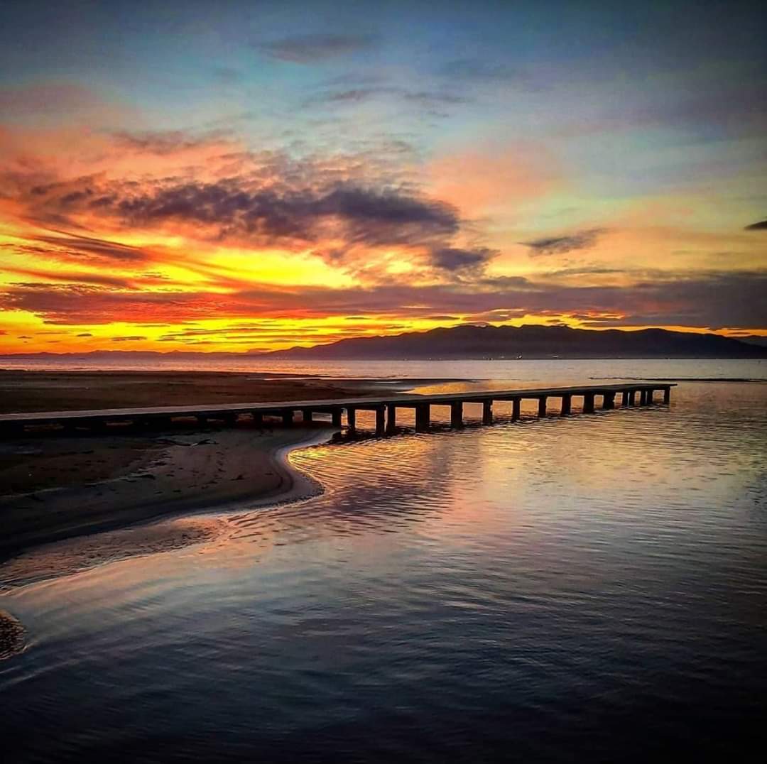 TurismeLaRapita tweet picture