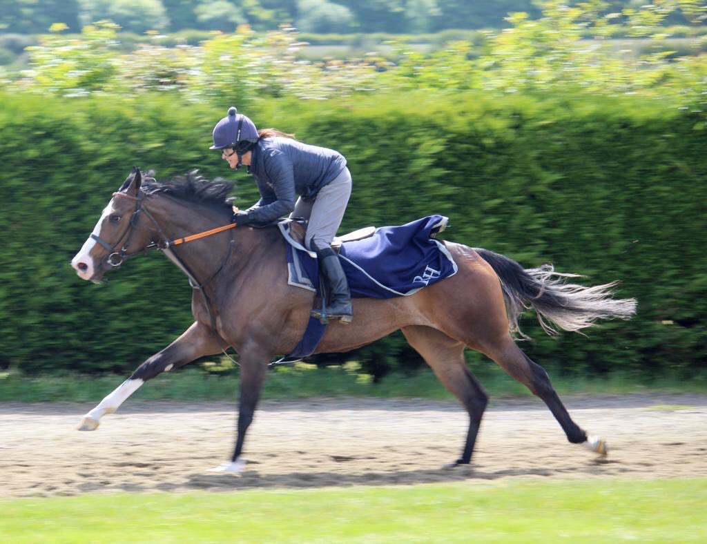 Fromnowon in full flow ⁦@rhannonracing⁩