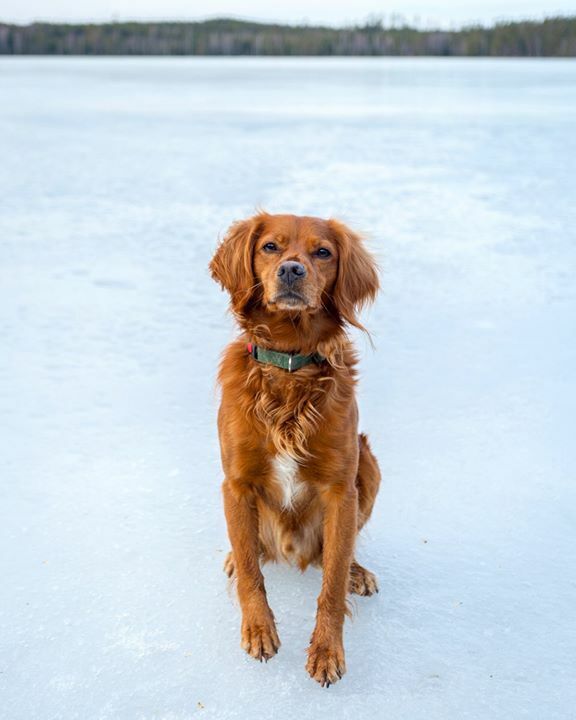 “Ice contains no future, just the past, sealed away. As if they're alive, everything in the world is sealed up inside, clear and distinct. Ice can preserve all kinds of things that way - cleanly, clearly. That's the essence of ice, the role it plays.” Haruki Murakami - if yo…