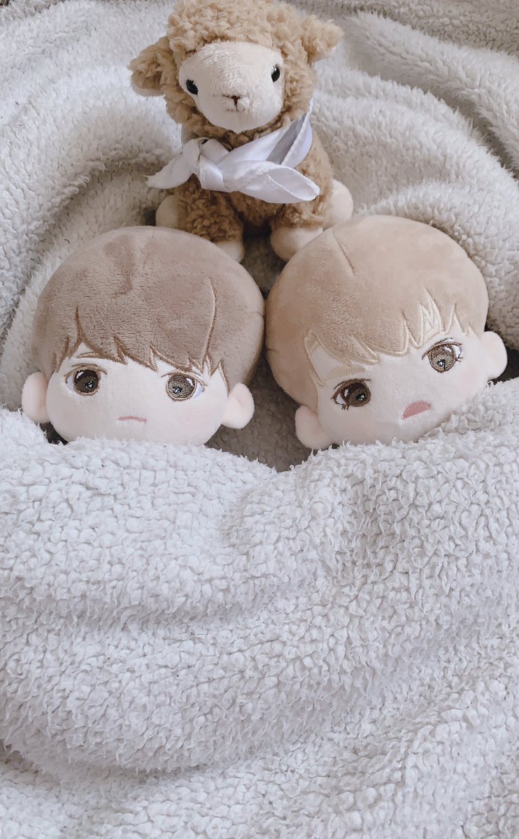 Babyleechan_'s tweet photo. Good morning 🌞
#babyhansol_ #babyleechan_
#ตลาดนัดสวนแครอท #ตลาดนัดเซเว่นทีน #ตุ๊กตาเซบ #seventeendoll #HANSOL #VERNON #최한솔
#버논 #한솔 #최한솔 #Leechan #バーノン #세븐틴 #SEVENTEEN https://t.co/xlf8sT9dfX