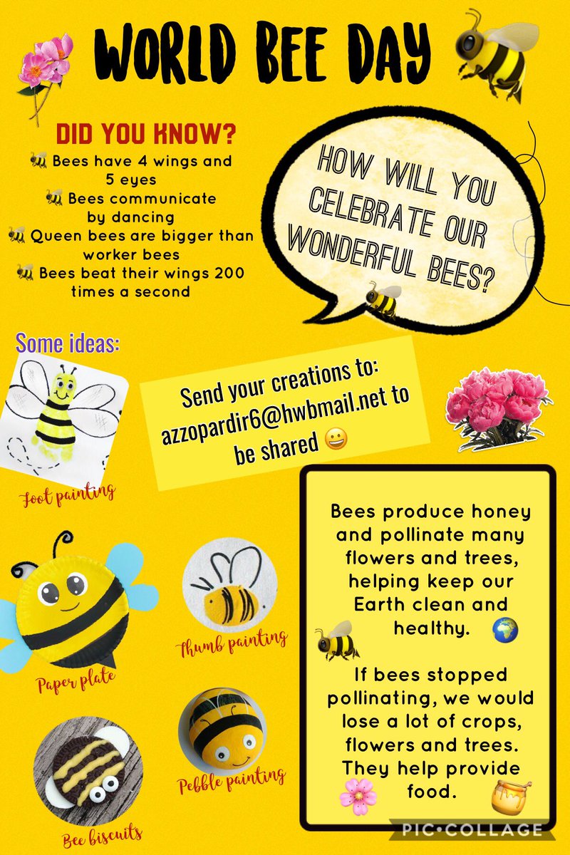 Today is World Bee Day! 🐝 Our bees our very important to us at St Mary’s. Why not have a go at this week’s challenge to celebrate our busy bees 🐝 Please send photos in by Saturday 😀 Beeee happy! 🐝