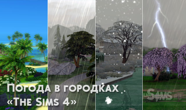 LiveSimsru tweet picture