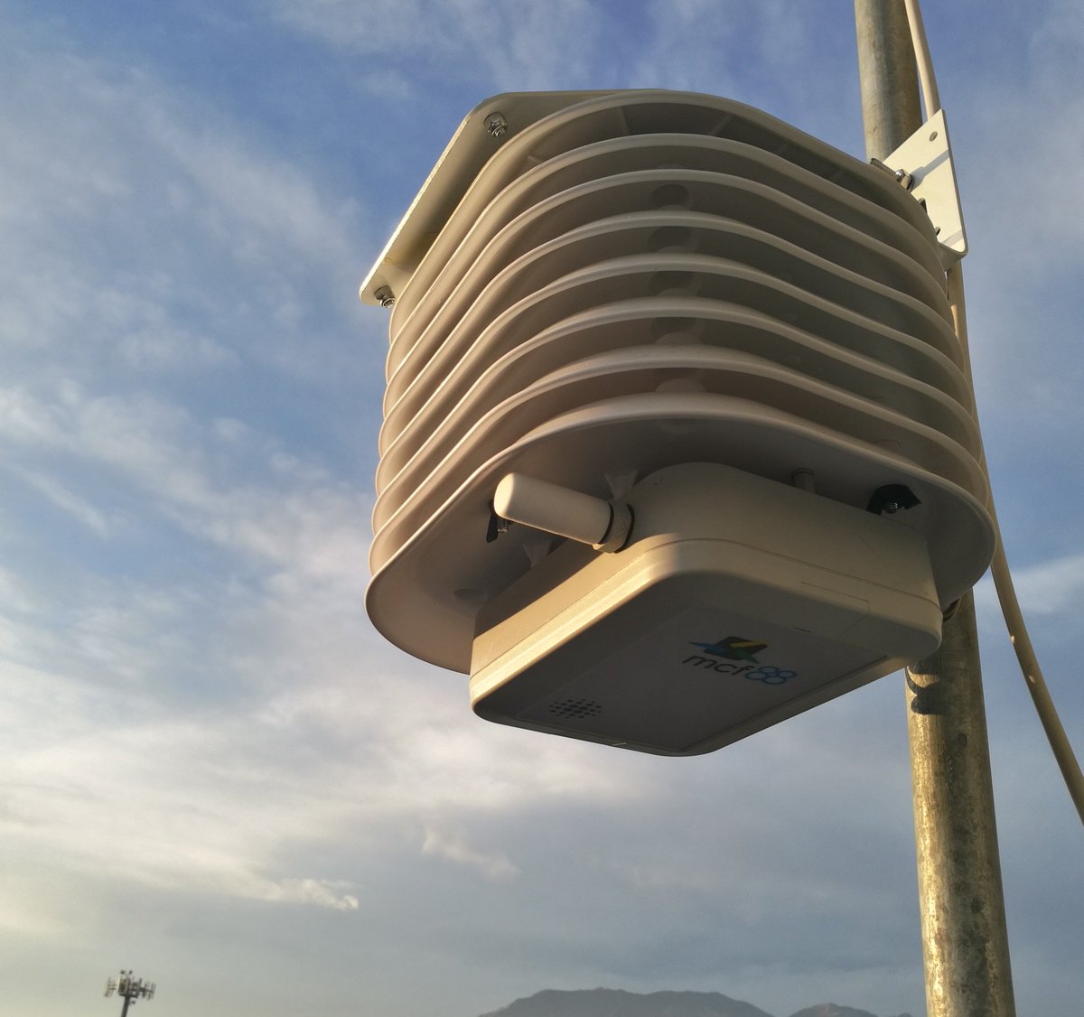 Bernardo Cabrera tweet media