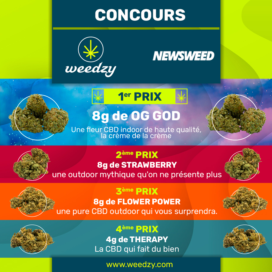 newsweedFR's tweet photo. [CONCOURS] Tentez de gagner 4 lots avec Weedzy !

1er prix : 8g de OG GOD
2è prix : 8g de Strawberry
3è prix : 8g de Flower Power
4è prix : 4g de Therapy

Pour participer, il suffit de :
1°/ Suivre @weedzyCBD
2°/ RT ce post
3°/ taguer tes 2 meilleurs @ https://t.co/gJoXETOVS8