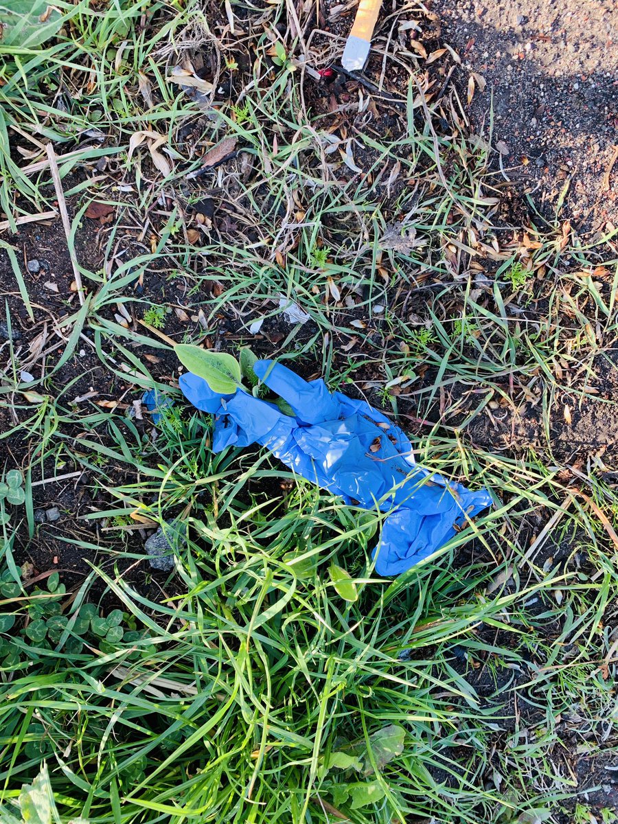 Ray Lorimer tweet media